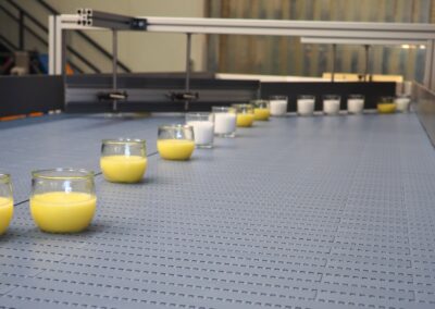 Rundlauf-Puffertisch für kontinuierliche Produktpufferung
